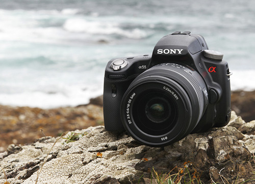 sony_a55_1