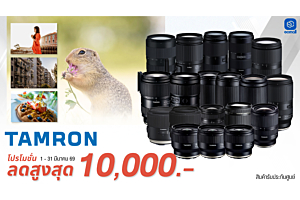 Tamron | TAMRON BIG LENS SALE ลดสูงสุด 8,000 บาท พร้อมผ่อน 0% สายถ่ายห้ามพลาด! | 1-31 Mar 69