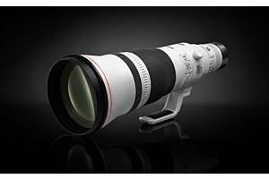 Canon อาจเปิดตัว RF 400mm f/2.8L และ RF 600mm f/4L รุ่นใหม่ พร้อม Teleconverter ในตัว