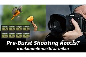 Pre-Burst Shooting คืออะไร? ถ่ายก่อนกดชัตเตอร์ไม่พลาดช็อต