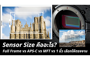 Sensor Size คืออะไร? Full Frame vs APS-C vs MFT vs 1 นิ้ว