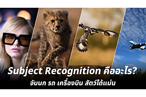 Subject Recognition คืออะไร? จับนก รถ เครื่องบิน สัตว์ได้แม่น