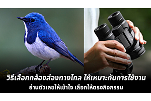วิธีเลือกกล้องส่องทางไกลให้เหมาะกับการใช้งาน อ่านตัวเลขให้เข้าใจ เลือกให้ตรงกิจกรรม