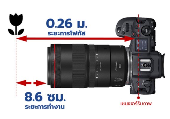Canon EF 100mm f/2.8L Macro IS USM Lens by  in  - EC MALL