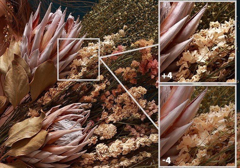 Canon EOS 1DX Mark III by  in  - EC MALL