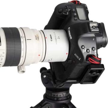Canon Extender EF 2.0x III