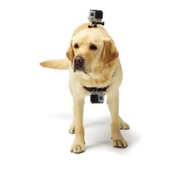 GoPro Fetch (Dog Harness)