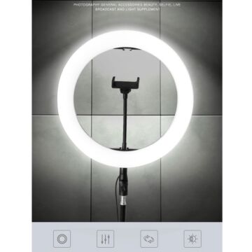 LED Ring Light 11 Inch With Stand + Microphone Stand Live SET