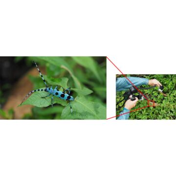 Olympus STF-8 Macro Flash