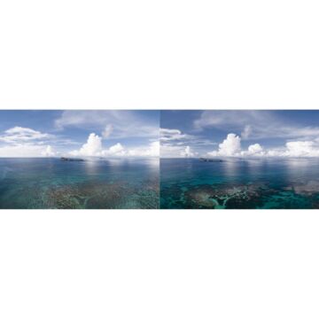 PGYTECH P-19C-067 Osmo Pocket 2 CPL Filter