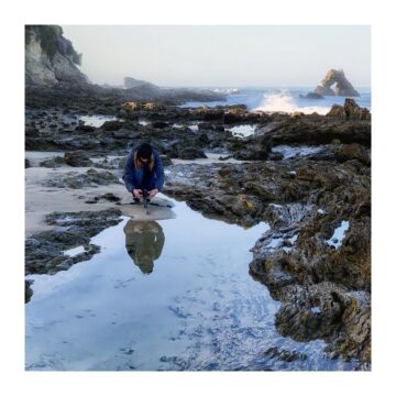 SLIK SPRINT PRO III BH GM with SBH-100DQ ball head