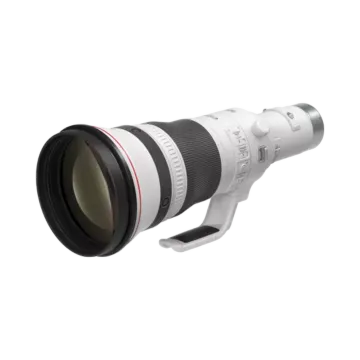 Canon RF 800mm f/5.6 L IS USM Lens