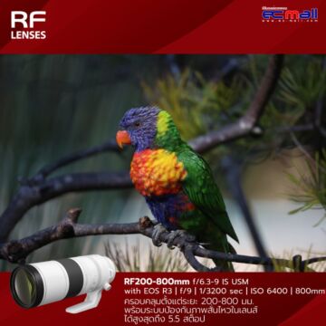 Canon RF 200-800mm f/6.3-9 IS USM Lens