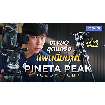 YC Onion Pineta Peak Photo & Video Carbon Fiber Tripod w/ HD Tripod Feet CEDAR CB7