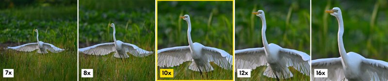 Nikon ACTION 10x50 Binoculars by  in  - EC MALL