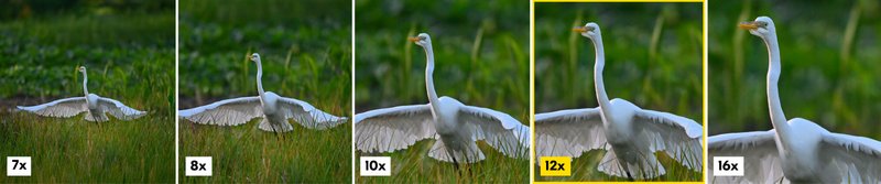 Nikon ACTION 12x50 Binoculars by  in  - EC MALL