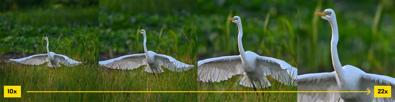 Nikon ACTION ZOOM 10-22x50 Binoculars by  in  - EC MALL