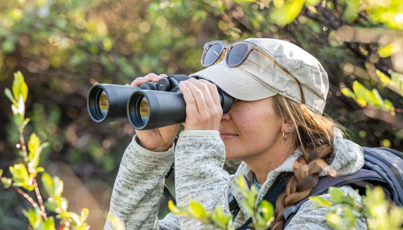 Nikon ACTION ZOOM 10-22x50 Binoculars by  in  - EC MALL