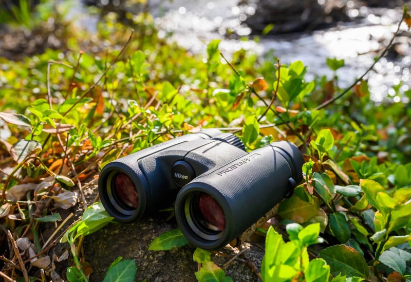 Nikon PROSTAFF P7 8x42 Binoculars by  in  - EC MALL