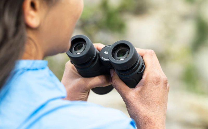 Nikon PROSTAFF P7 8x42 Binoculars by  in  - EC MALL