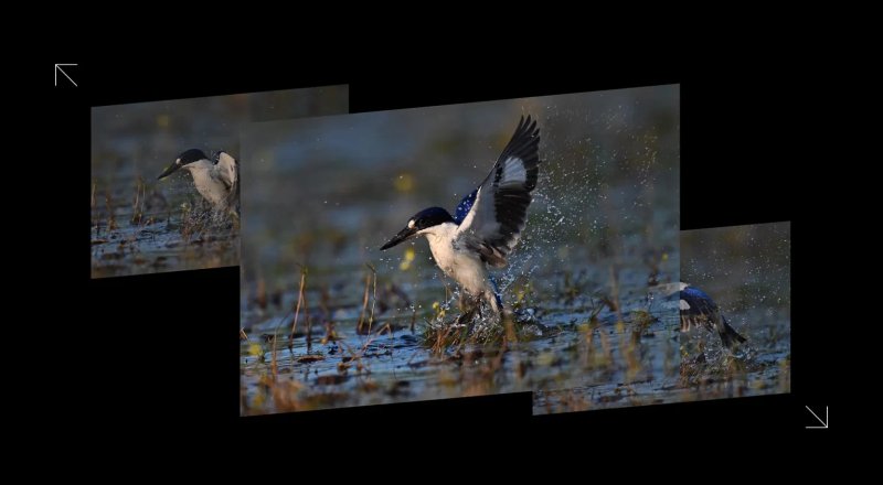 Nikon Z8 Mirrorless Camera by  in  - EC MALL