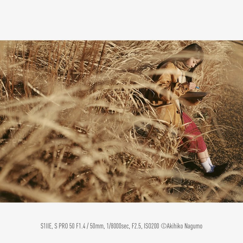 Panasonic Lumix S1IIE by  in  - EC MALL