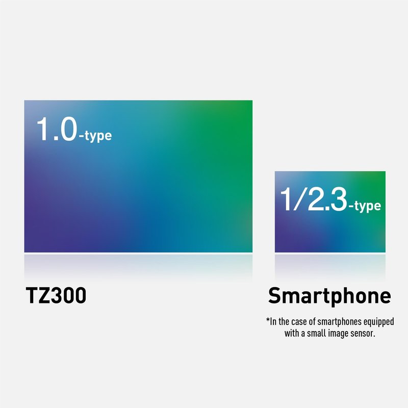 Panasonic Lumix TZ300 Compact Camera by  in  - EC MALL