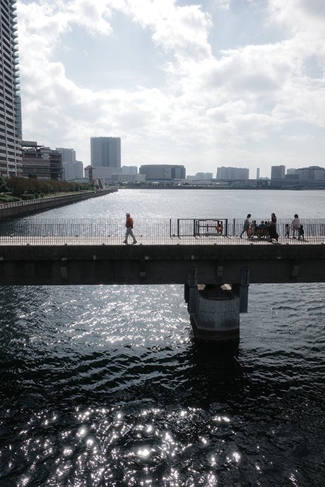 Ricoh GR IV HDF by  in  - EC MALL