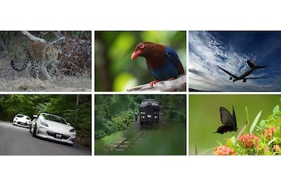 Sony a1 II Mirrorless Camera by  in  - EC MALL