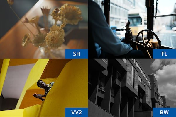 Sony A7C II Mirrorless Camera by  in  - EC MALL