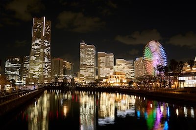 Sony GP-VPT3 Wireless Shooting Grip by  in  - EC MALL