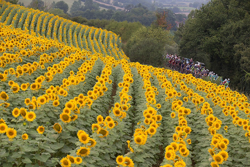 Canon EF 70-200mm f/2.8L IS II USM by  in  - EC MALL