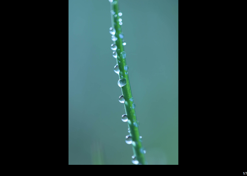 Canon EF-S 60mm f/2.8 Macro USM by  in  - EC MALL