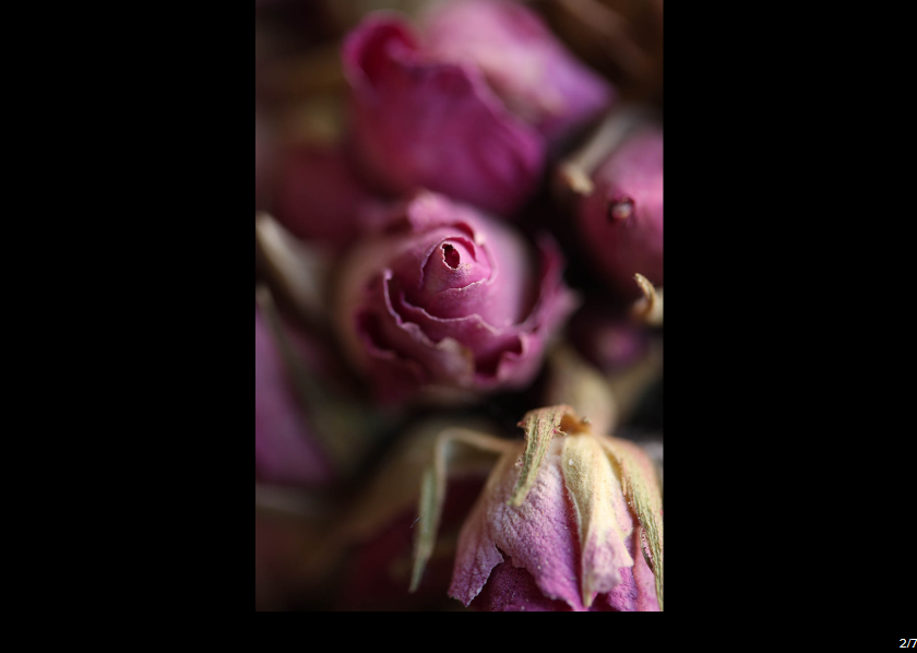 Canon EF-S 60mm f/2.8 Macro USM by  in  - EC MALL