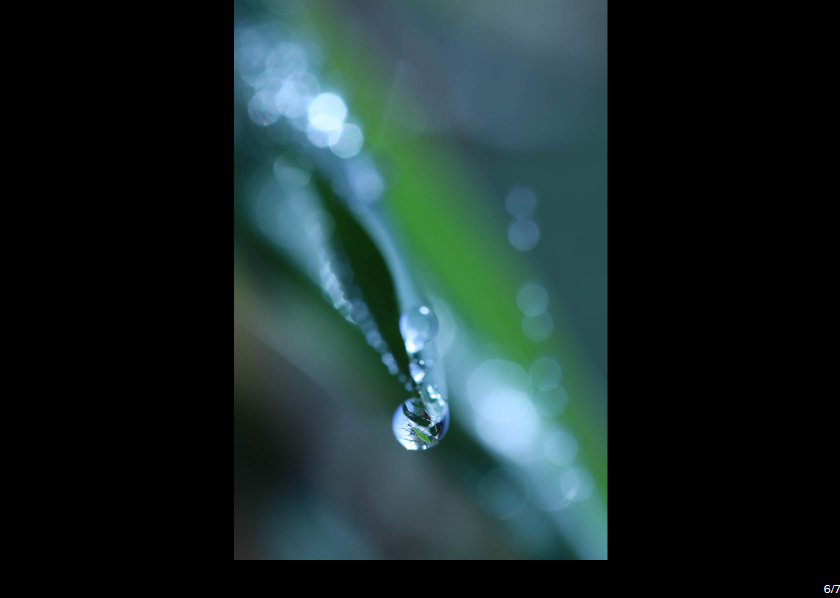 Canon EF-S 60mm f/2.8 Macro USM by  in  - EC MALL