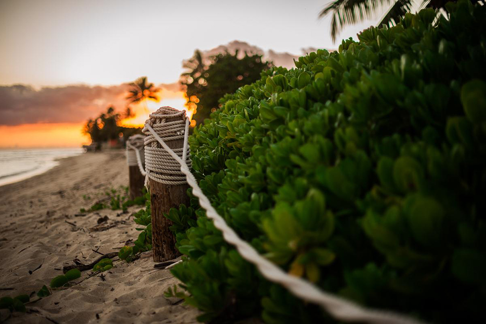 Nikon AF-S NIKKOR 50mm f/1.4G by  in  - EC MALL