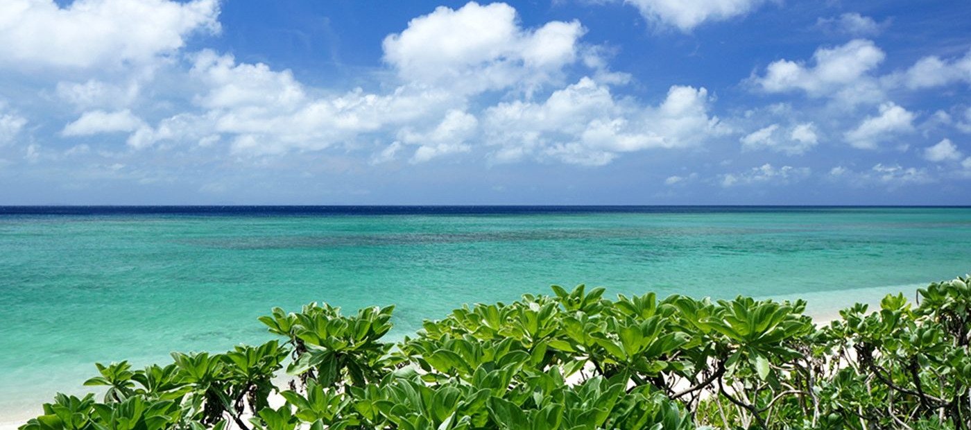 Sony E 16mm f/2.8 Lens by  in  - EC MALL