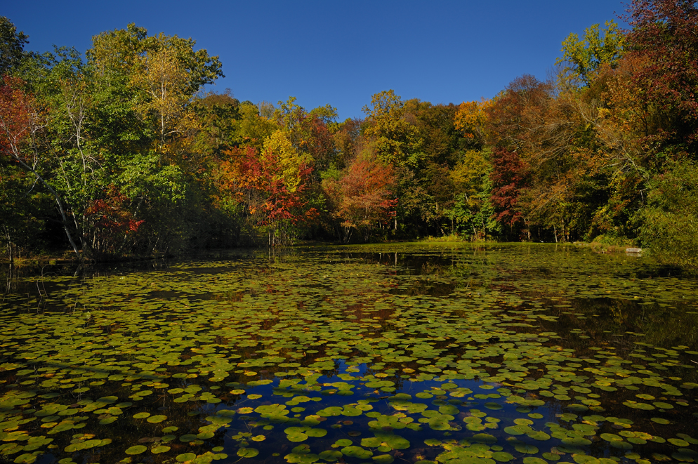 Nikon AF-S NIKKOR 24-120mm f/4G ED VR Lens by  in  - EC MALL
