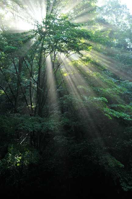 Nikon AF-S NIKKOR 35mm f/1.4G Nano by  in  - EC MALL