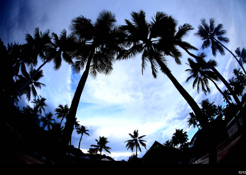 Canon EF 8-15mm f/4L Fisheye USM by  in  - EC MALL