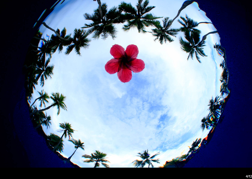 Canon EF 8-15mm f/4L Fisheye USM by  in  - EC MALL