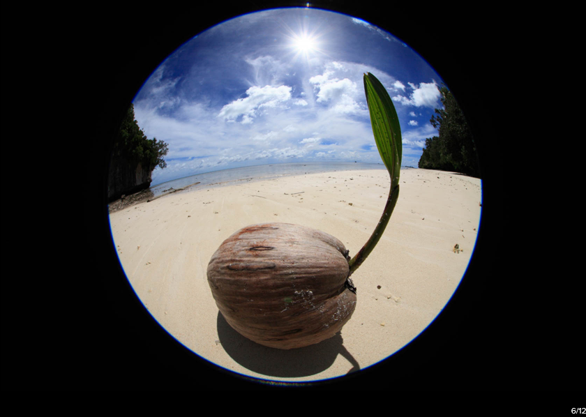 Canon EF 8-15mm f/4L Fisheye USM by  in  - EC MALL