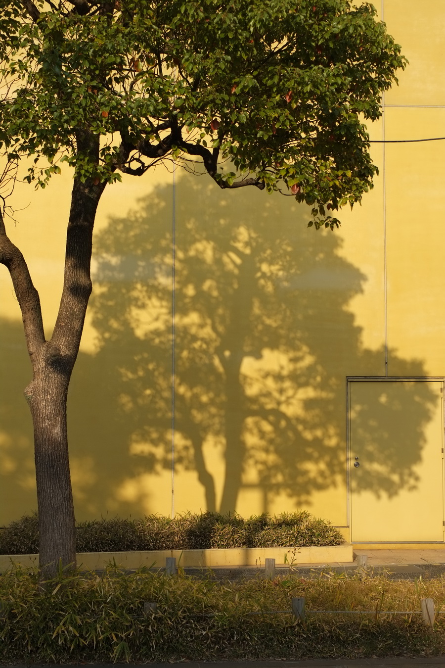 Fujifilm Fujinon XF 35mm f/1.4 R Lens by  in  - EC MALL