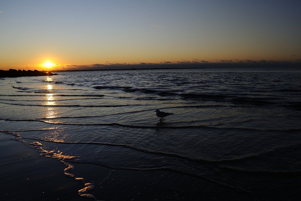 Nikon AF-S NIKKOR 28mm f/1.8 G by  in  - EC MALL