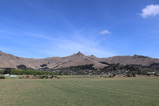 Canon EF-S 18-135mm f/3.5-5.6 IS STM by  in  - EC MALL