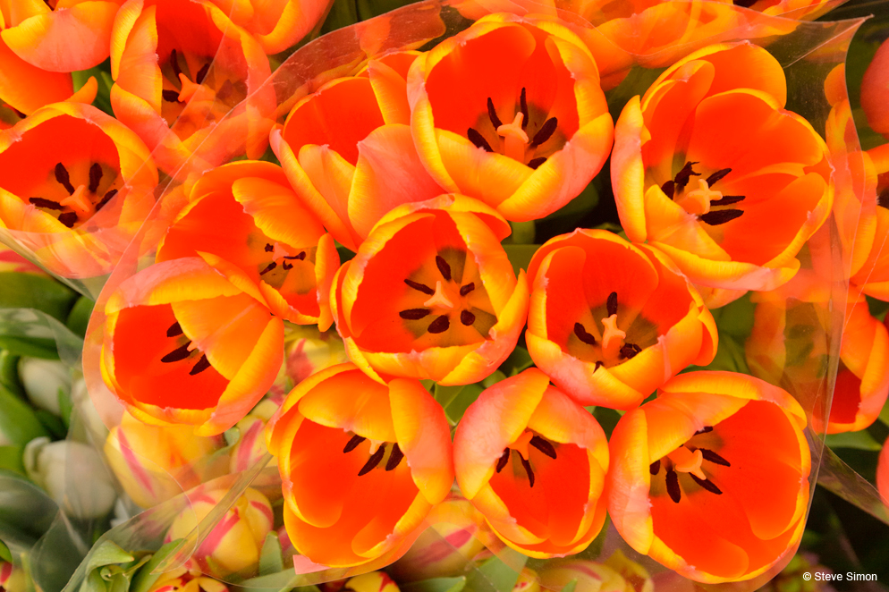 Nikon AF-S NIKKOR 24-85mm f/3.5-4.5G ED VR by  in  - EC MALL