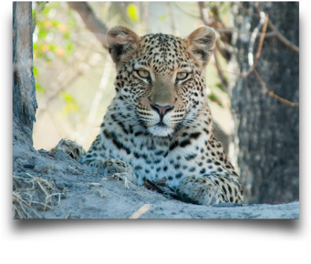 Nikon AF-S NIKKOR 80-400mm f/4.5-5.6G ED VR Nano by  in  - EC MALL