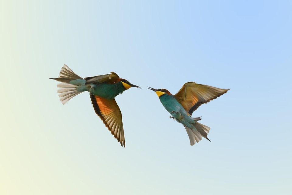 Nikon AF-S NIKKOR 80-400mm f/4.5-5.6G ED VR Nano by  in  - EC MALL