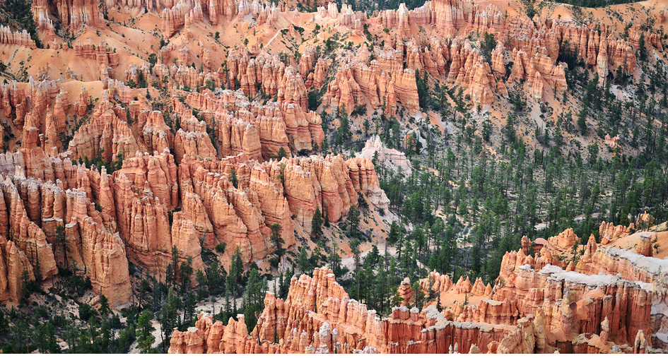 Nikon AF-S NIKKOR 58mm f/1.4 G by  in  - EC MALL