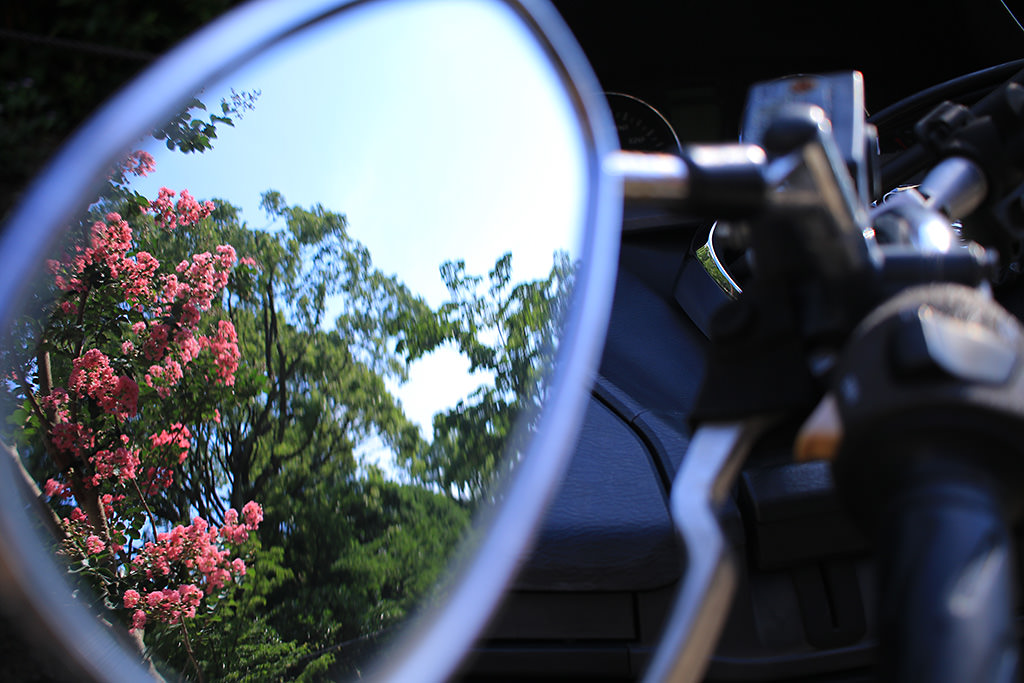 Canon EF-S 24mm f/2.8 STM Lens by  in  - EC MALL